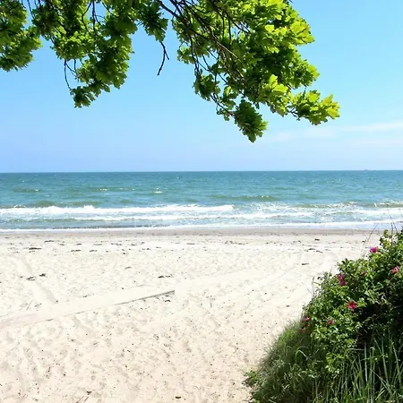 Strandresort Rex Rugia Ferienwohnung 11-8 Mit Sauna- Und Schwimmbadnutzung Im Ahoi Sellin Lejlighed Lobbe