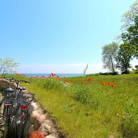 Lejlighed Strandresort Rex Rugia Ferienwohnung 11-8 Mit Sauna- Und Schwimmbadnutzung Im Ahoi Sellin *